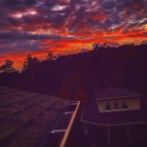 Meet your Posher, Dylan